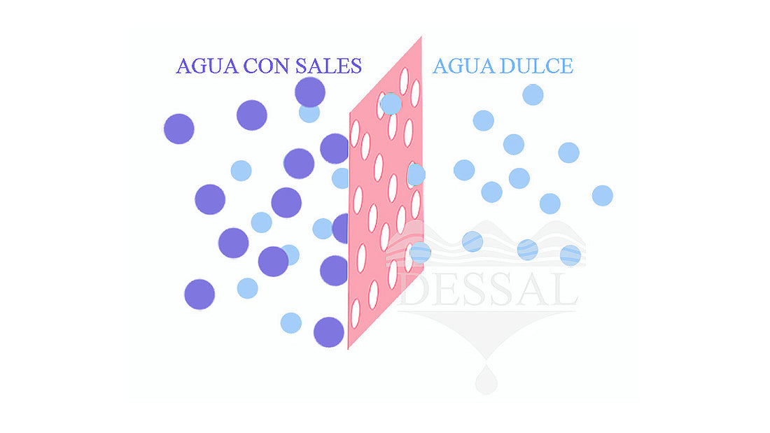 osmosis inversa desalinizadora