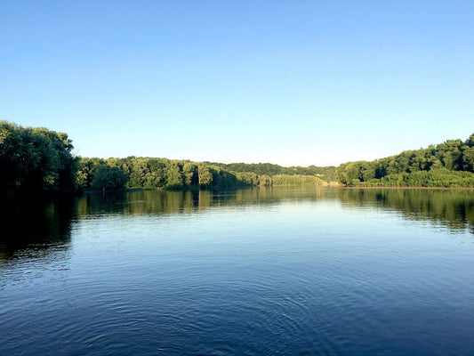 Dessal Historias del mar