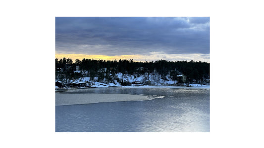 Wallas Turku Dessal